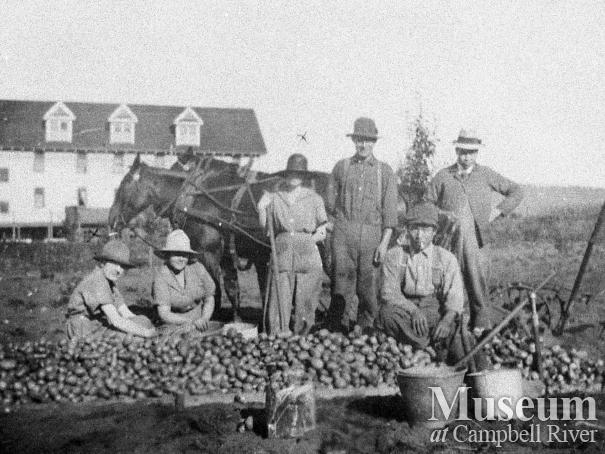 Thulin family potato fields behind the Willows Hotel