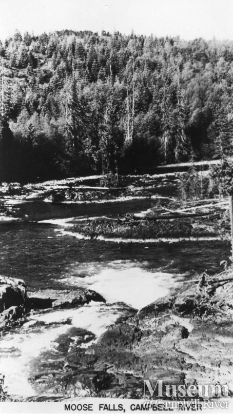 View of Moose Falls, Campbell River