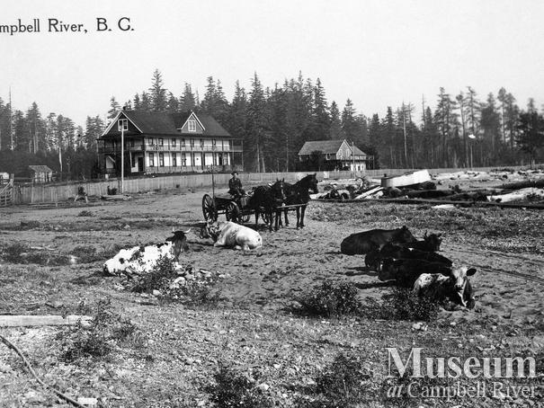 Campbell River beachfront