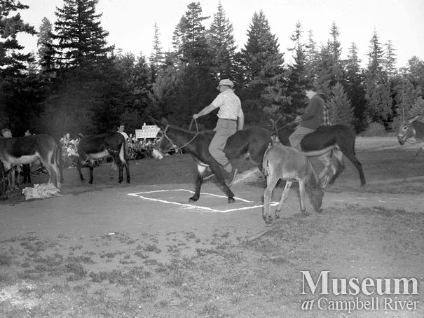 Donkey Baseball game held at Lane Field