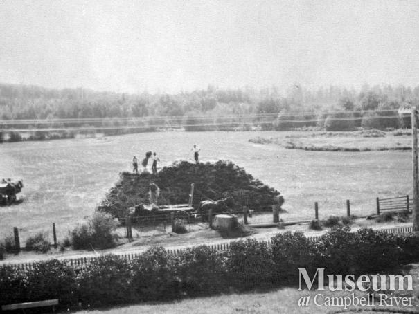 Mary and Charles Thulin's hayfield