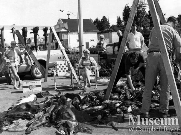 Spearfishing meet held June 30, 1968, Tideripper's club.