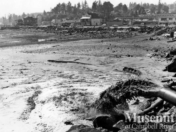 Construction of the Foreshore Park, 1965