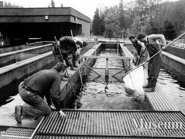 Quinsam Salmon Hatchery