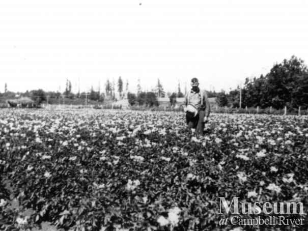 Perkin's farm, north Campbell River.