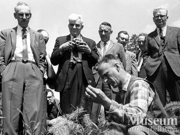 Dick Kosick performs a graft on a fir tree during a tour/demonstration